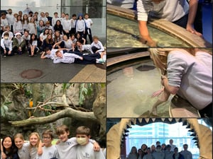 Field Trip to National Aquarium- FB Post
